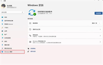 怎么不让win11自动更新？win11关闭自动更新方法