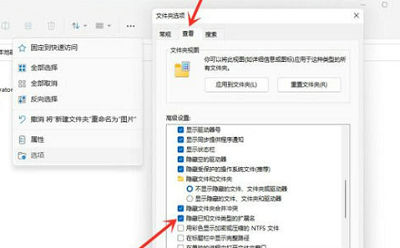 Win11文件后缀名怎么显示出来？win11显示文件扩展名的方法