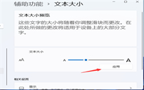 windows11系统字体加粗如何设置 windows11系统字体加粗方法介绍 