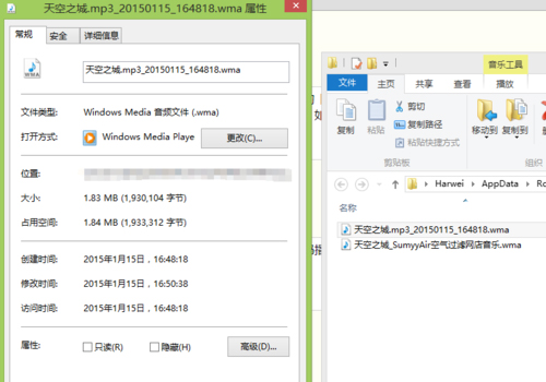 完美解码 V20240228 官方版