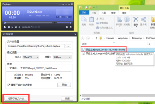 完美解码 V20240228 官方版