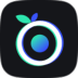 浆果录屏 V1.0.620 官方版